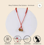 Amritmala Pure Herb